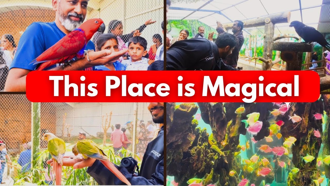 Hidden Wildlife Paradise in Yercaud 🦜 | Peeku Park & Hairpin Bends | #yercaudtrip #yercaudvlog #TN