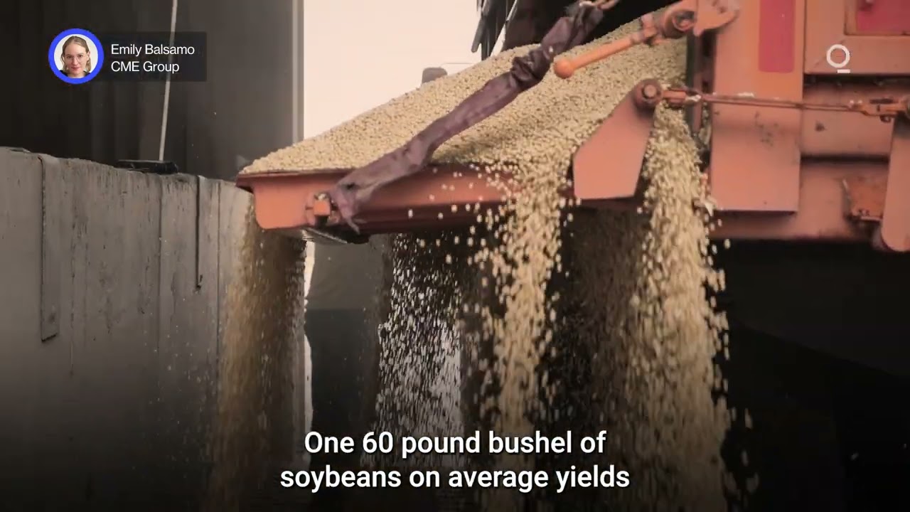 Soybean Oil Is Dominating Soybean Crush Revenues&nbsp;| Presented by CME Group