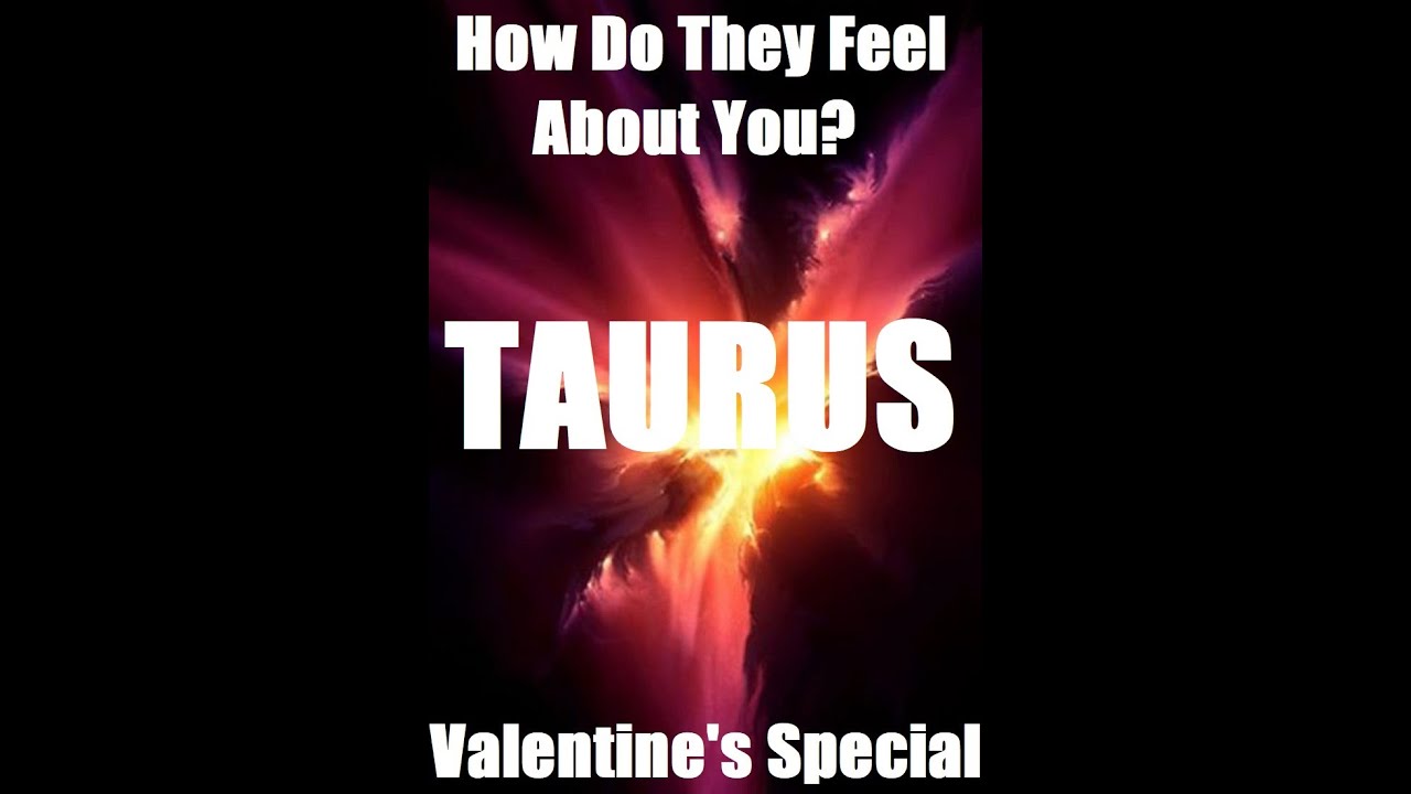 Taurus - How Do They Feel About You? - Taurus Valentine's Special Feb 2020