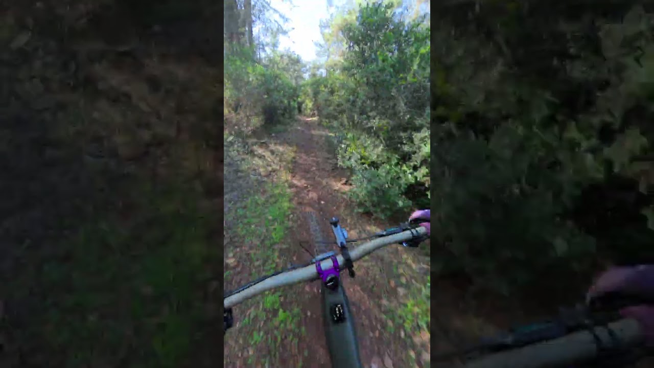 Yehiyam trail part4 | January 2026