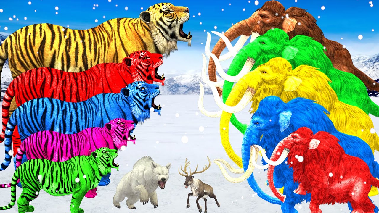 5 Woolly Mammoths Vs Tiger Animal Fight | Mammoth Elephant Save Polar Bear from Giant Tiger Attack