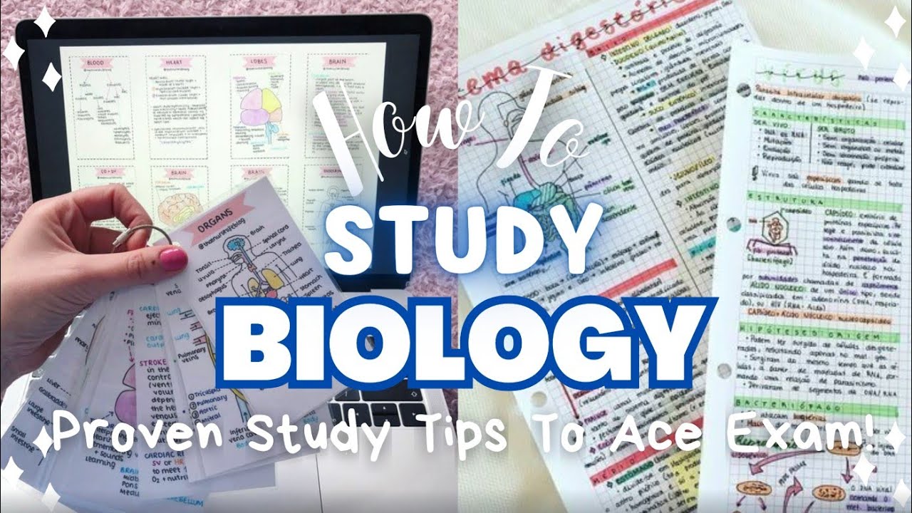 How to Study Biology Effectively 📚