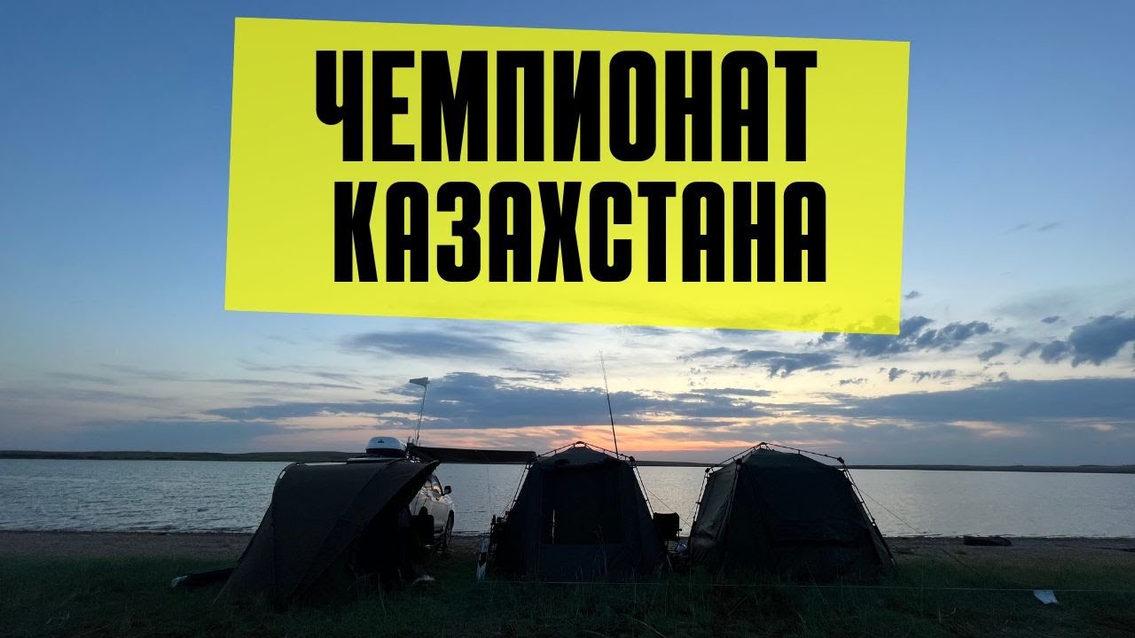Поездка на ЧЕМПИОНАТ КАЗАХСТАНА по спортивному лову карпа 2023, озеро Тойганколь, Акмолинская обл.