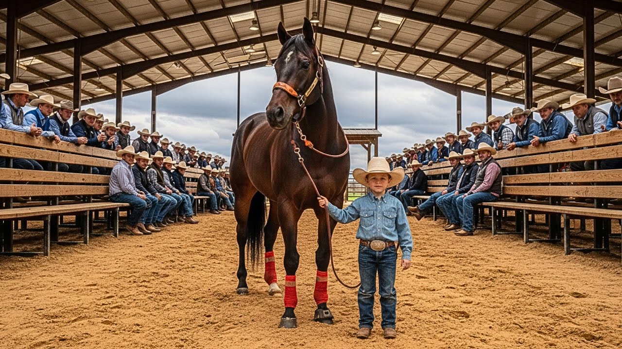 Caballo Herido Es Rechazado En Una Subasta, Un Niño Lo Compra y Lo Transforma En Campeón...Y Después