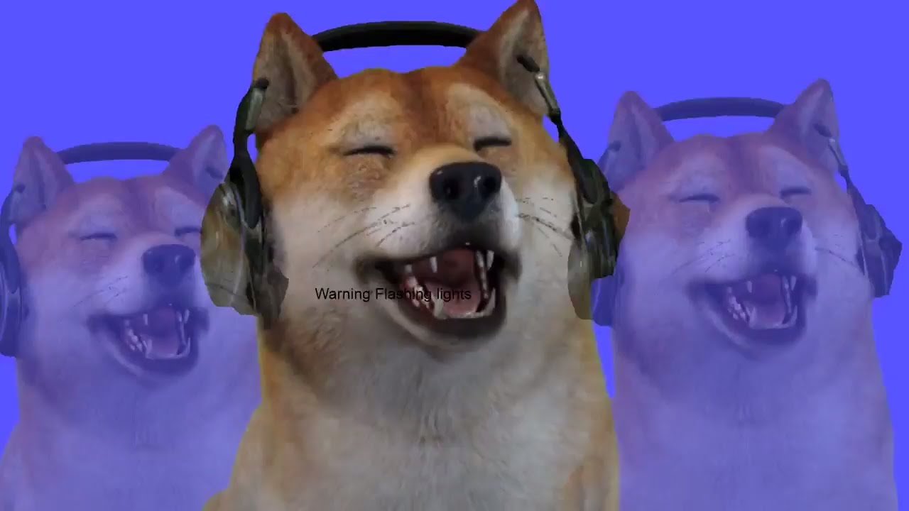 Stream Highlights #5