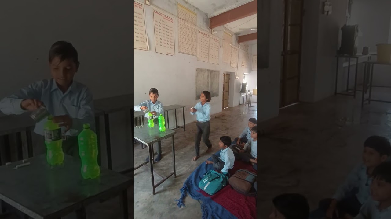 IGNOU DECE PROJECT WORK ACTIVITY- 24