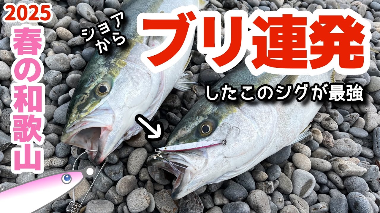 ナブラ湧く！春の和歌山で大型青物出た！〜南紀のサーフでショアジギング〜【初めてブリを釣り上げた日】