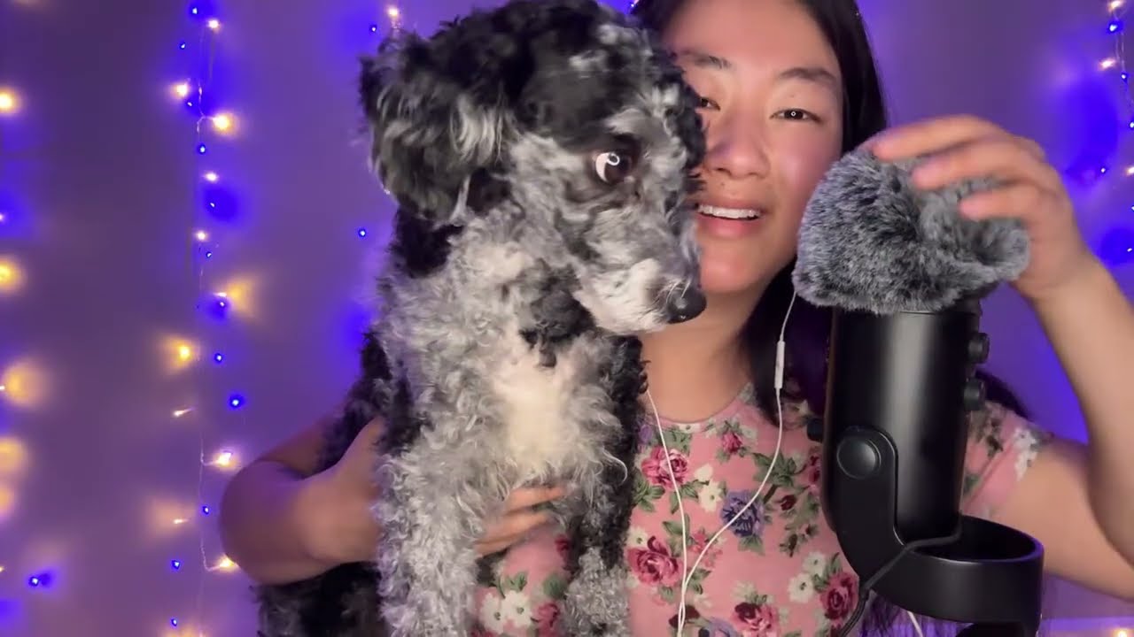 VioletSongASMR is live! 