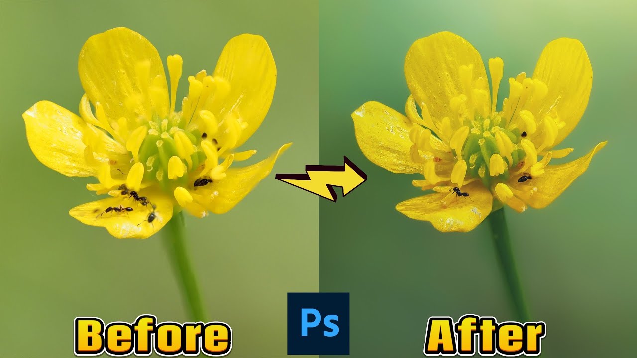 How To Fix Focus Stacking Artifacts In Photoshop Episode 1