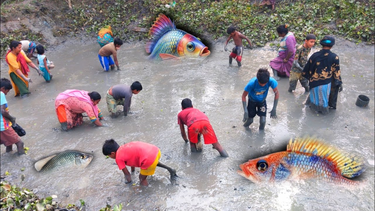 আজকে গ্রামের পুকুর সেচে সবাই মিলে  মাছ ধরলাম | Village Kids Catching Small | natural village fishing