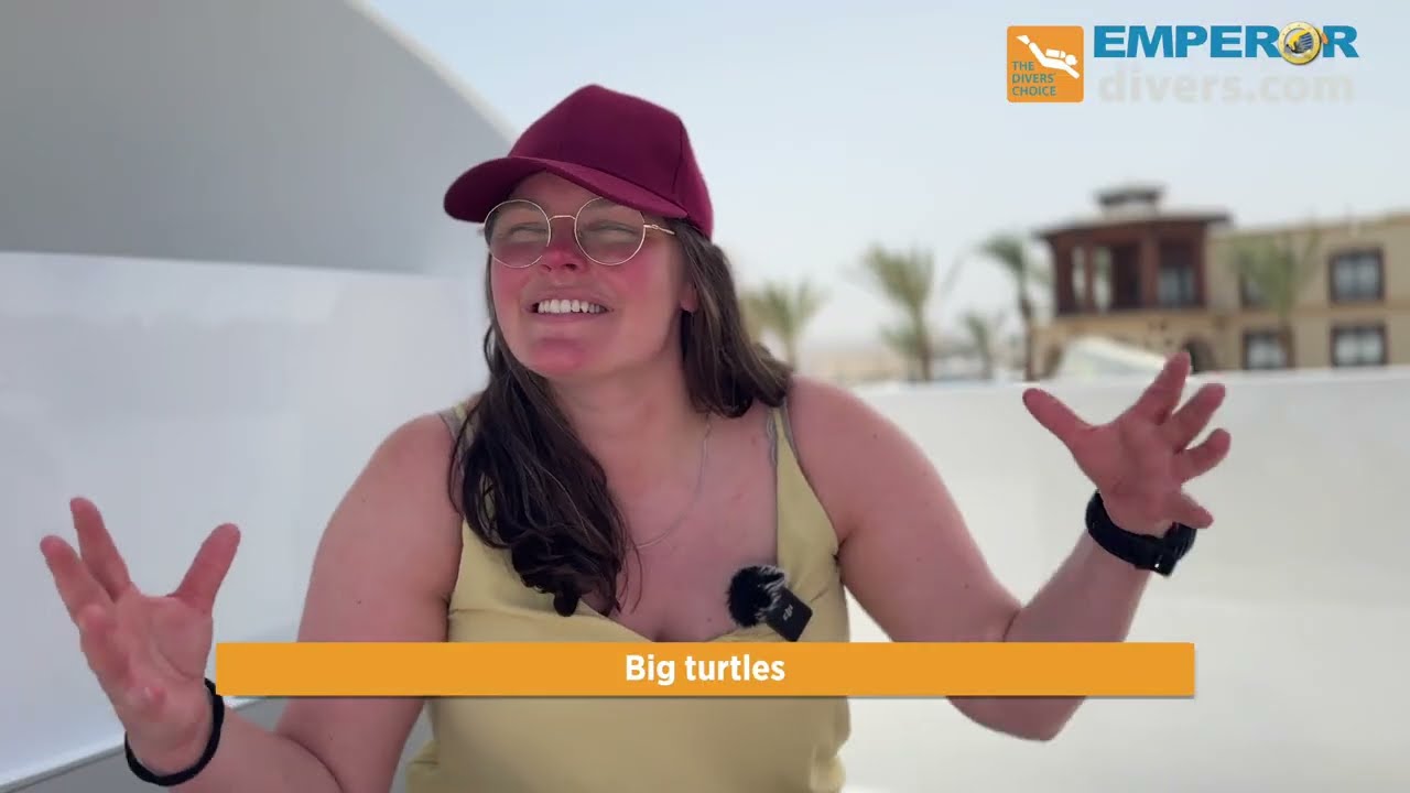 Kristin’s Red Sea Dive Trip | Best Liveaboard Experience in Egypt