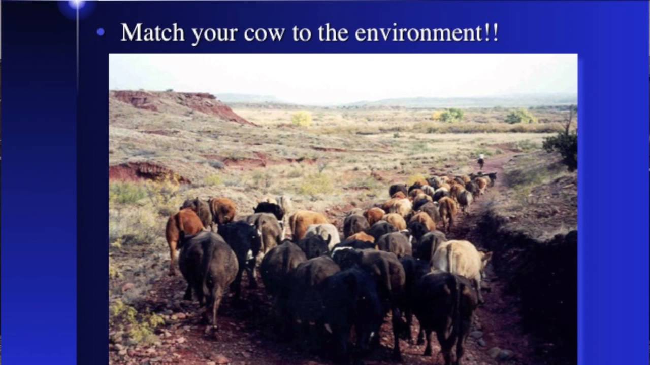 Lecture 5 Part 3- Genotype by Environment Interactions