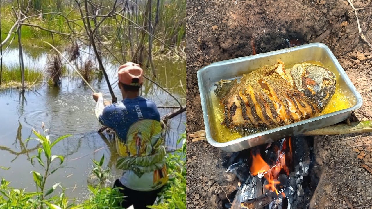 pescaria raiz fizemos um peixe frito de 2 kg na beira da lagoa