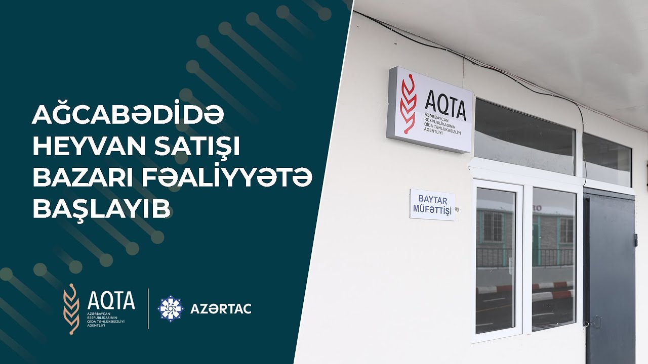Ağcabədidə heyvan satışı bazarı fəaliyyətə başlayıb