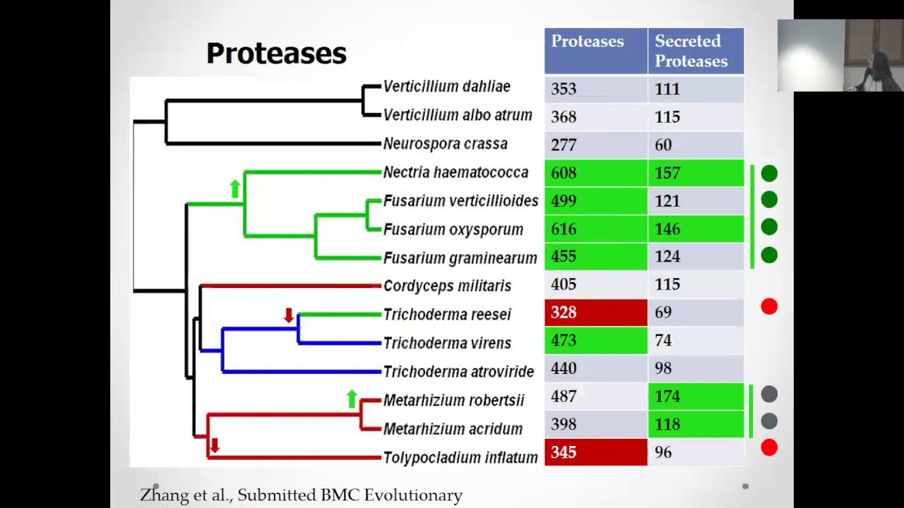 Kathryn Bushley: Genomics of insect and nematode pathogens
