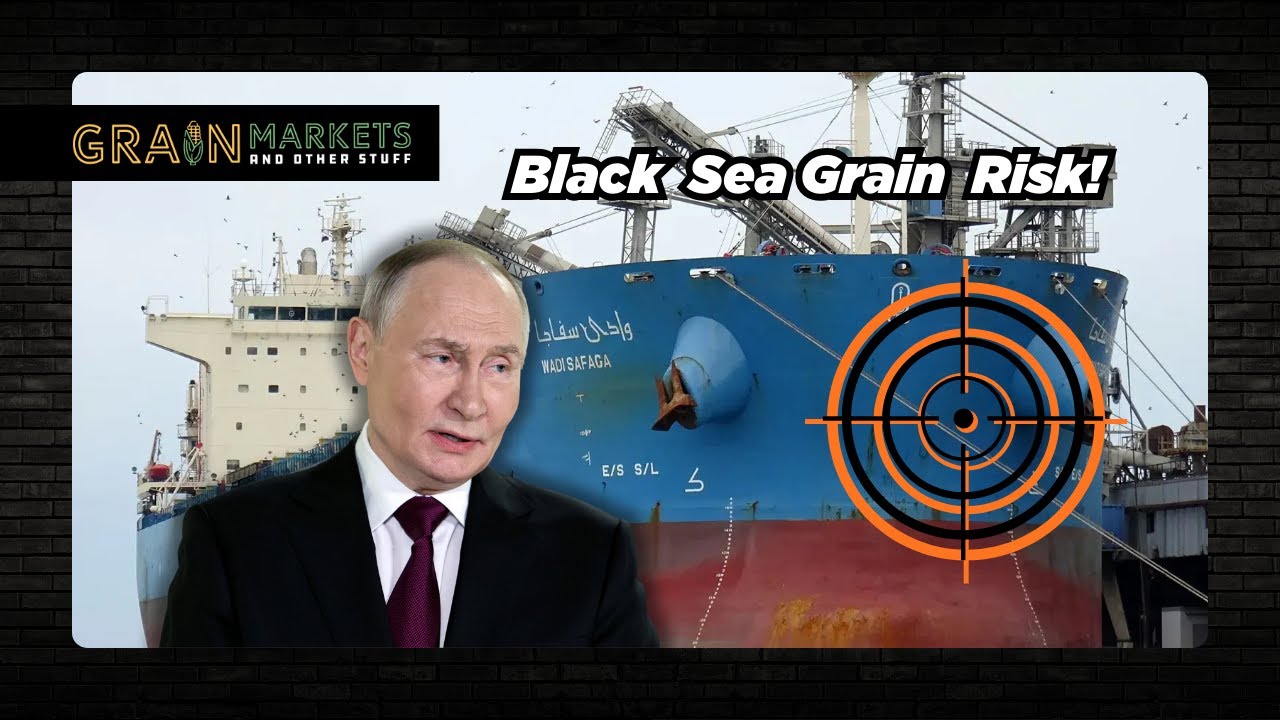 Путин угрожает Черному морю: рост цен на кукурузу и пшеницу + новости о сое в Китае