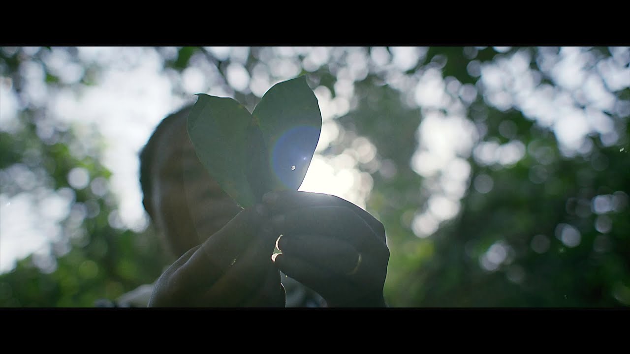 Nespresso - Our Commitments