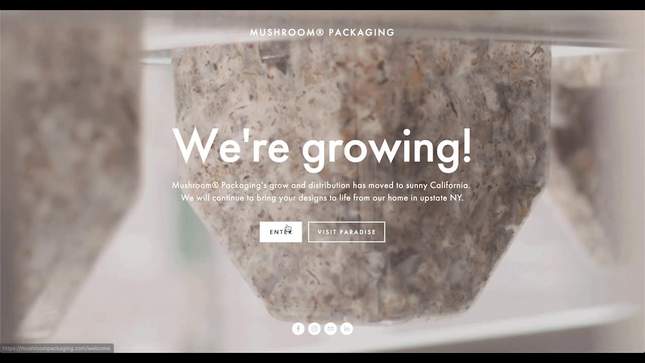 Mushroom&reg; Packaging Intro: 100% Plastic-Free, Biodegradable Packaging You Can Compost