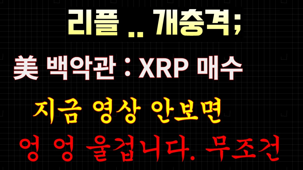 리플 개충격;;... 백악관 터졌다.. (지금 영상 안보신분들 오늘밤 엉엉 울겁니다)... #비트코인 #xrp #이더리움