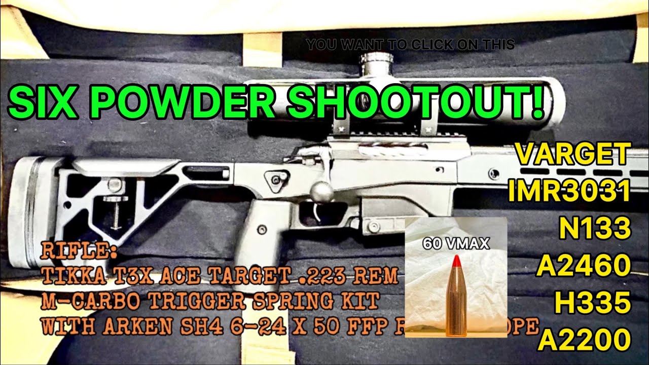 Протестировано шесть порохов. Tikka Ace Target .223 с 60VMAX.