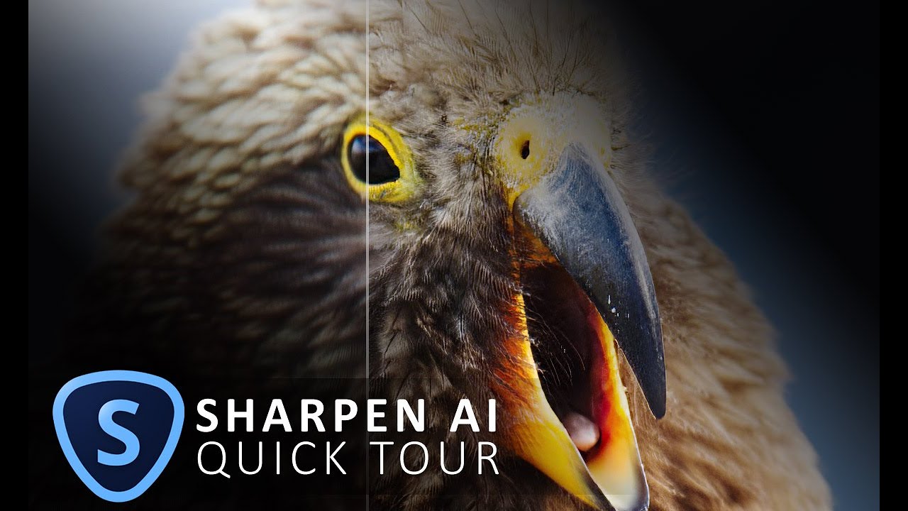 How to use Topaz Sharpen AI