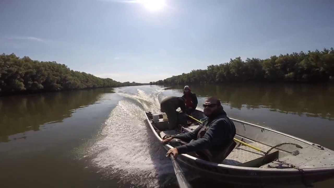 Electrofishing on Drava river in Croatia