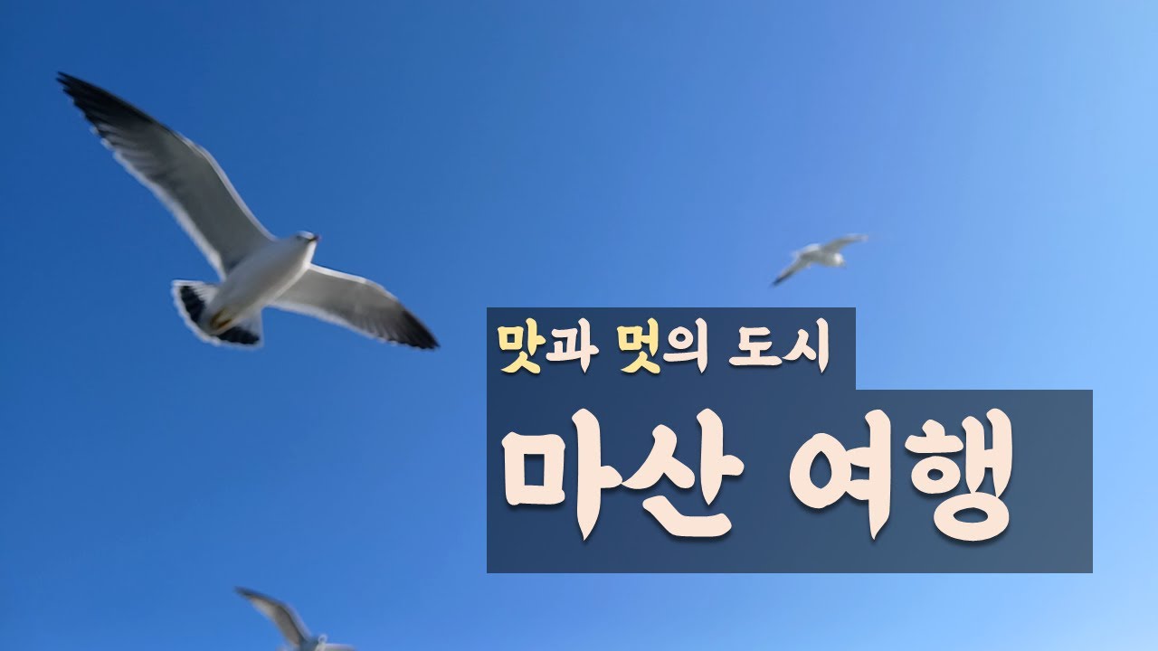 26년 2월 마산 여행 #강아지 #강아지여행 #가족여행