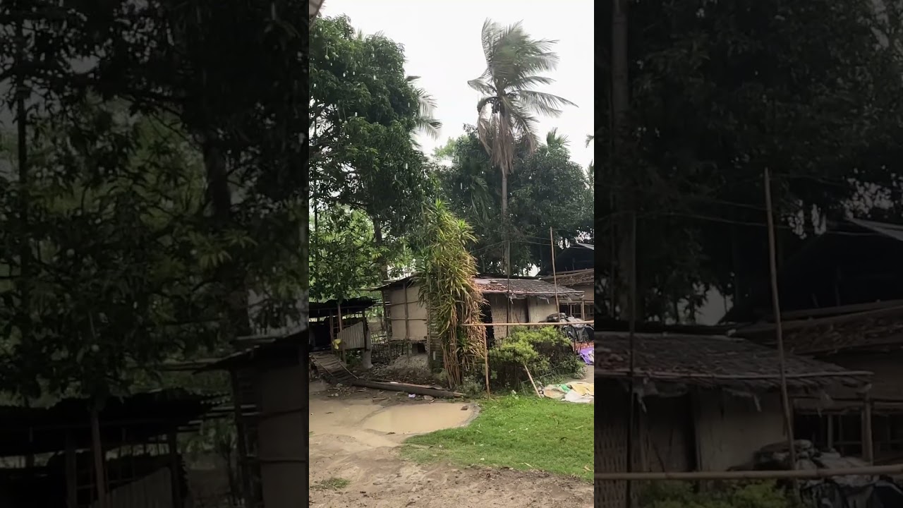 Fav Weathers ❤️ #rainyday #assamrain #assamesemusic #zubeengargmusic #assameseshorts #assamshorts