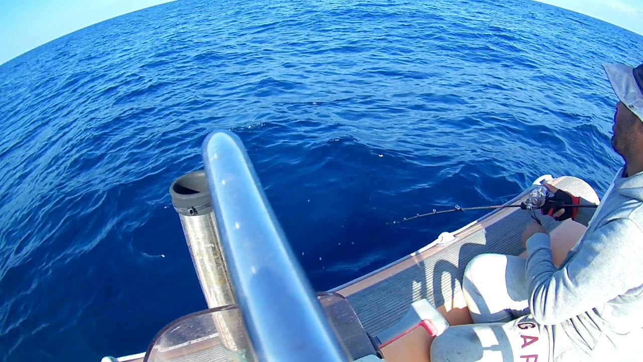 Fiiish Black Minnow-Live Double Strike!