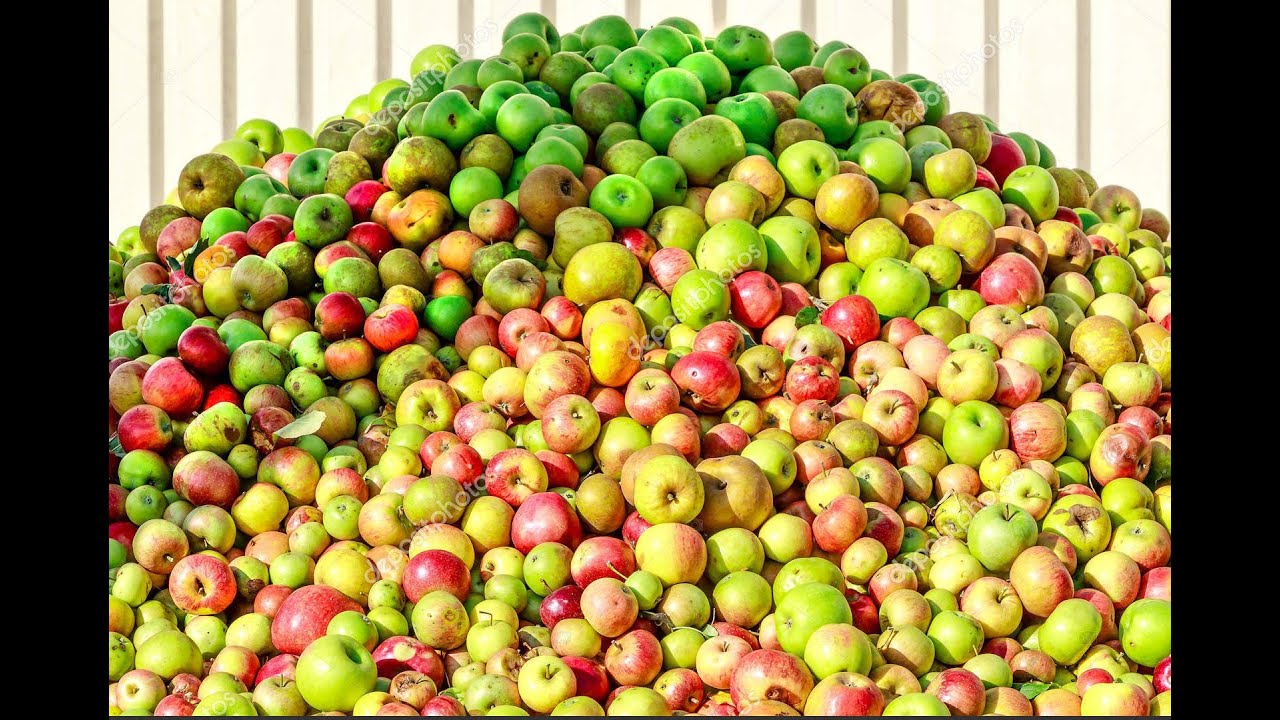 appelsap maken