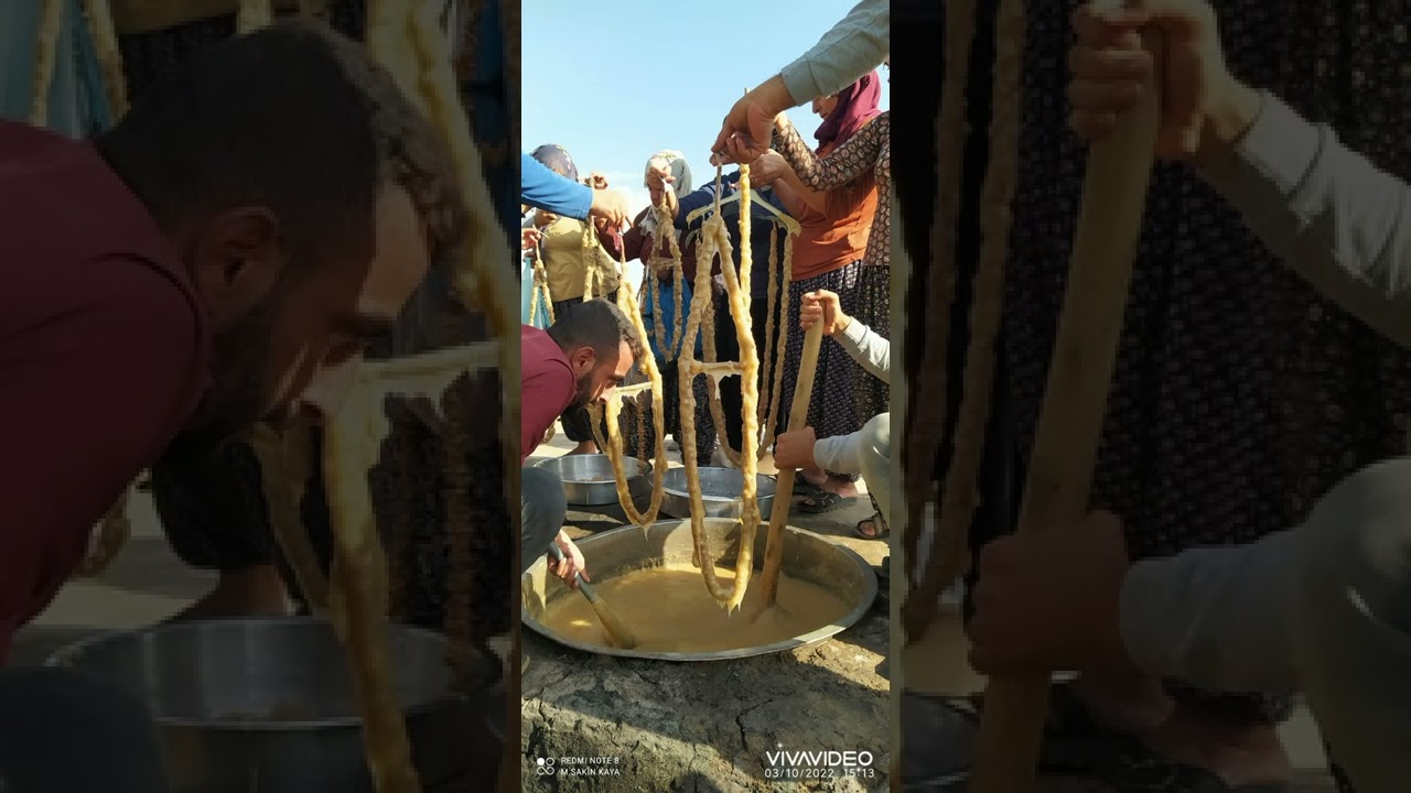 kaval eşliğinde bağ fotoğrafları(kazanlı/EĞIL)
