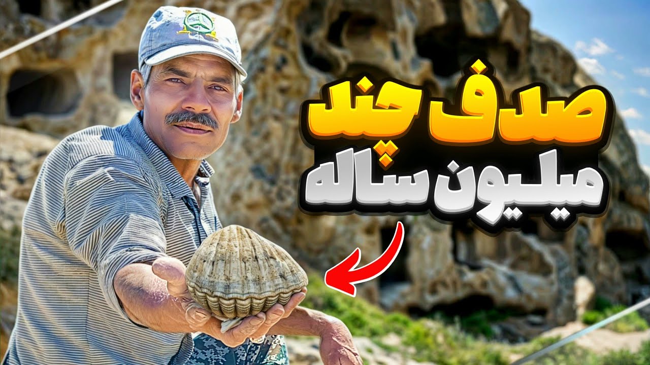 گنجینه های بیابان:کشف صدف چند میلیون ساله از بیابان که تاریخ را بازگو میکنند⚱️🐚🦪