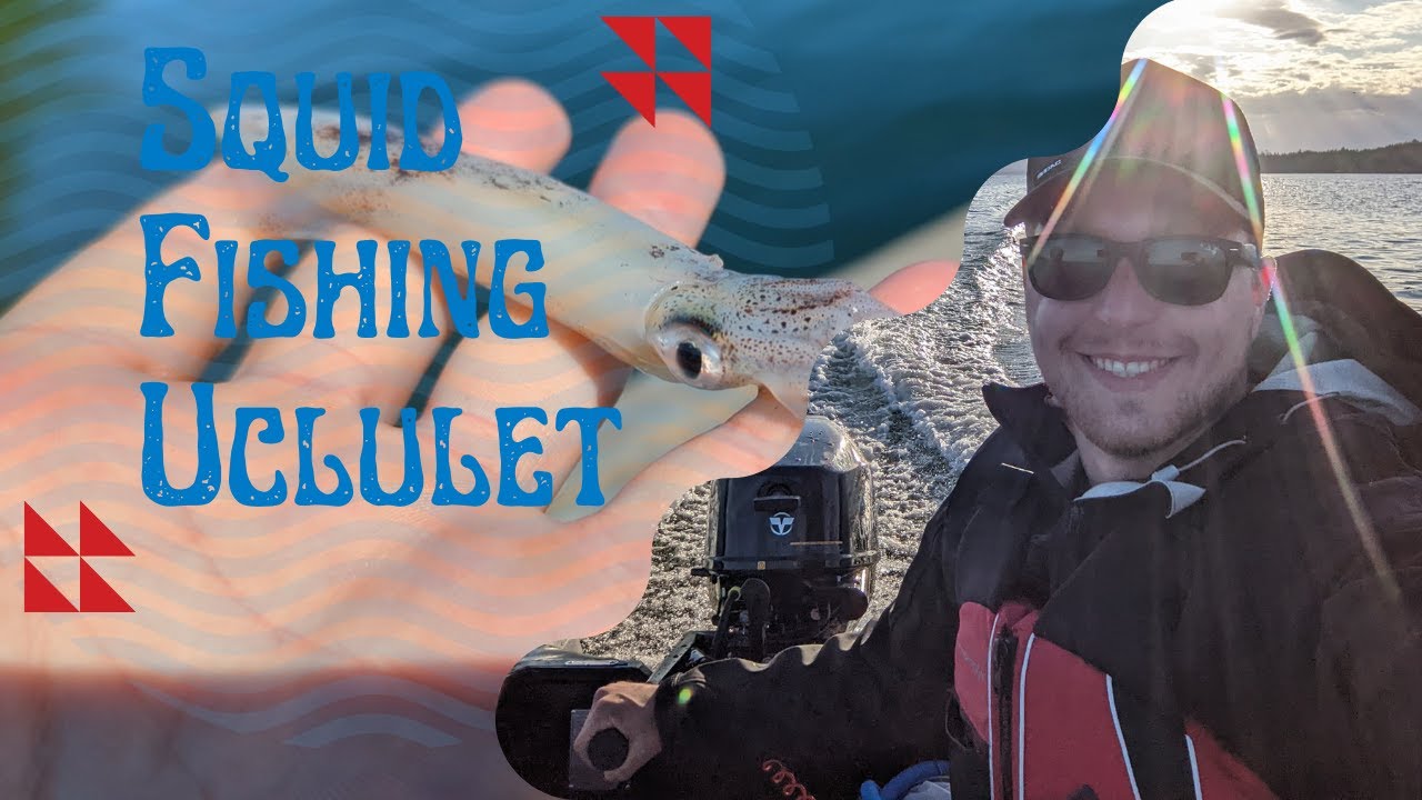 squid fishing, Ucluelet B.C. #squidgames