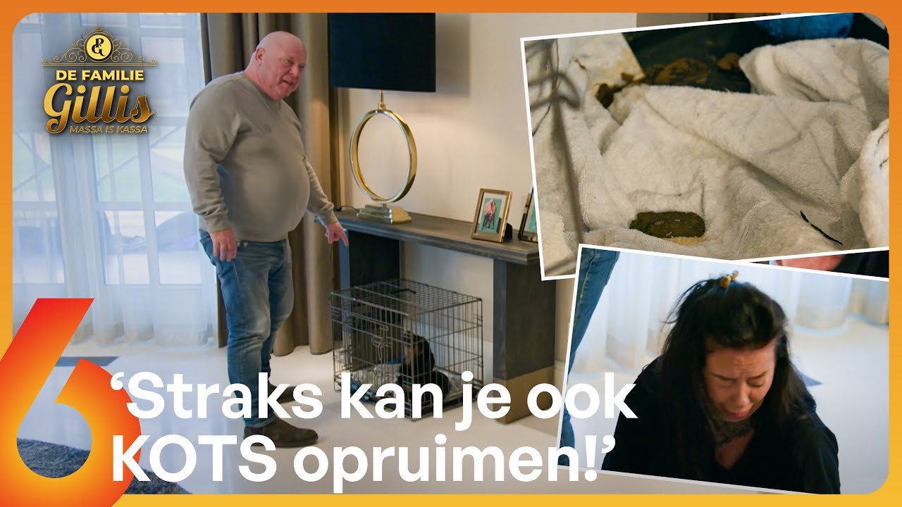 CATASTROFE! Alles zit onder de SCHIJT! 💩🤢 | Familie Gillis #AFL106