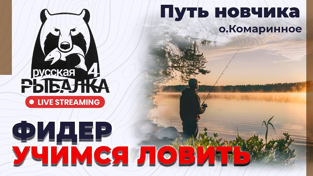 Русская Рыбалка 4: Фидер - Путь новичка #russianfishing4 #русскаярыбалка4