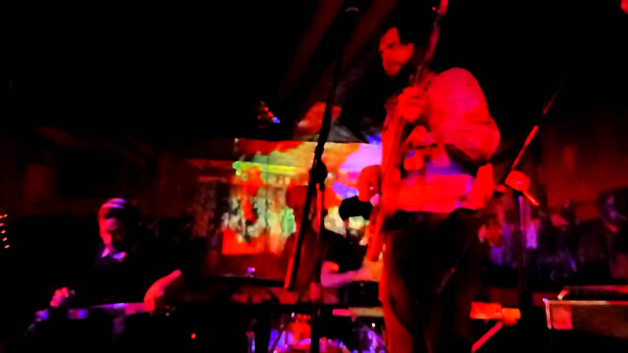 Seismic-Sound.com: The Soft Hills at The Sunset Tavern. January 21st 2012