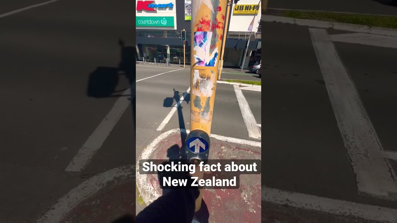 Shocking Fact about New Zealand | #ytshorts