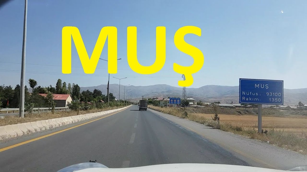 Muş
