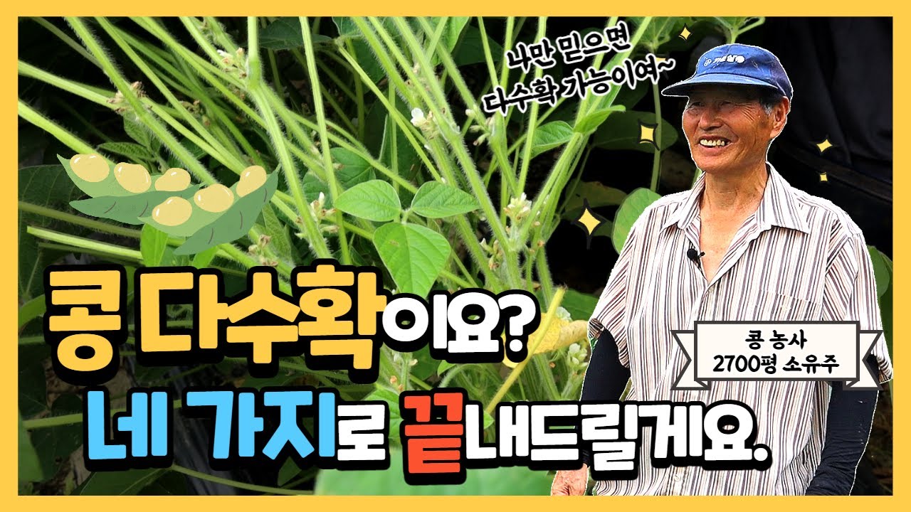 콩 다수확 비법 20년 농부가 전부 알려드립니다.