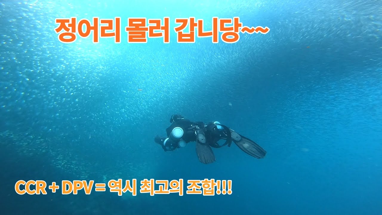 [Moalboal] CCR DPV diving with Sardines!