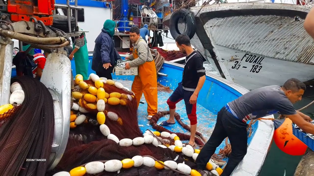 ميناء طنجة القديم… مشاهد ستعيد لك الذكريات