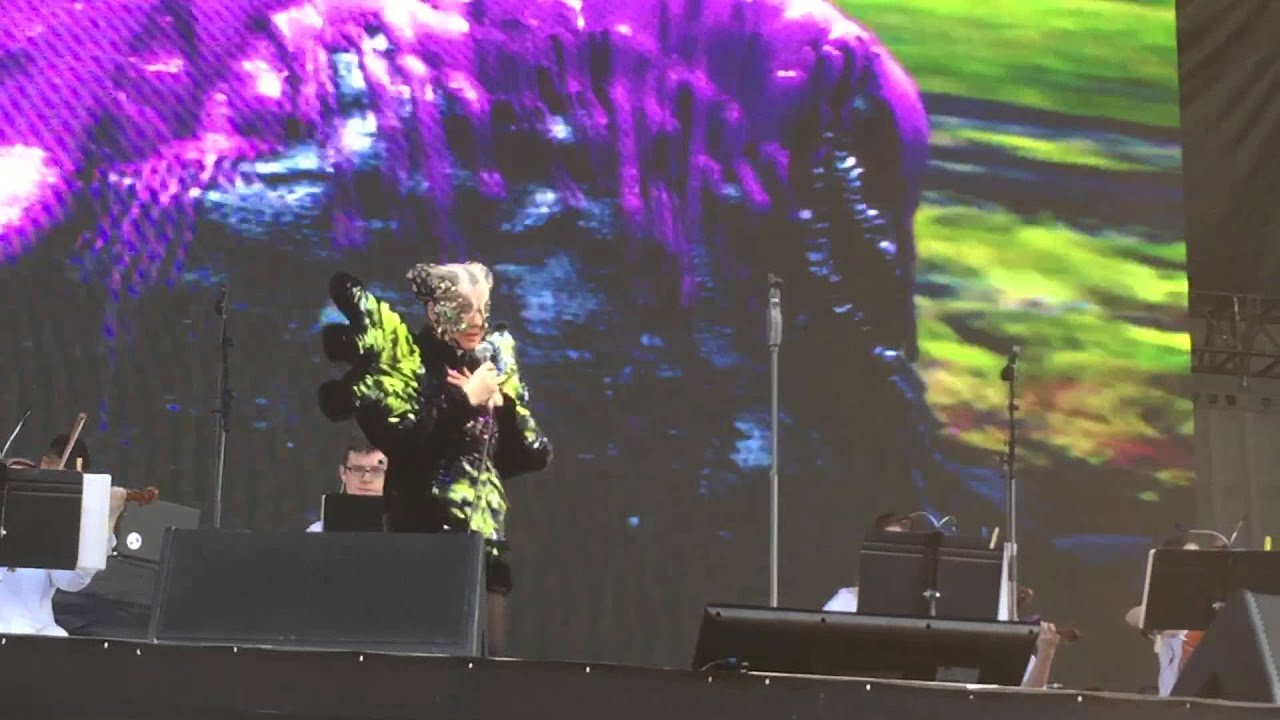 Björk - Family - GovBall NYC 2015 - (3/13) - 1080p