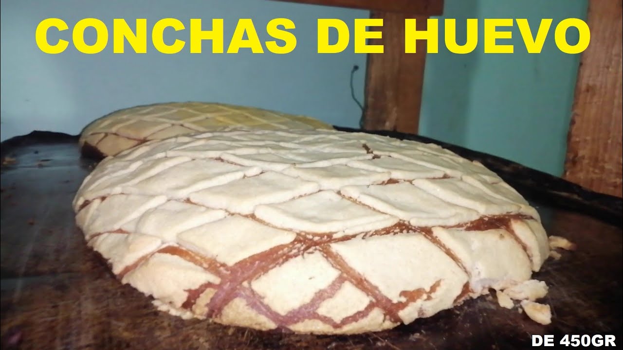 CONCHAS DE HUEVO