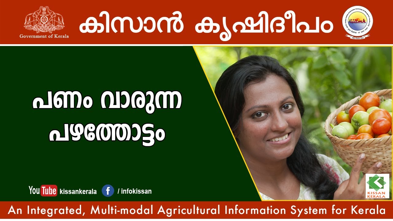 Young woman who earned lakhs through fruit orchard