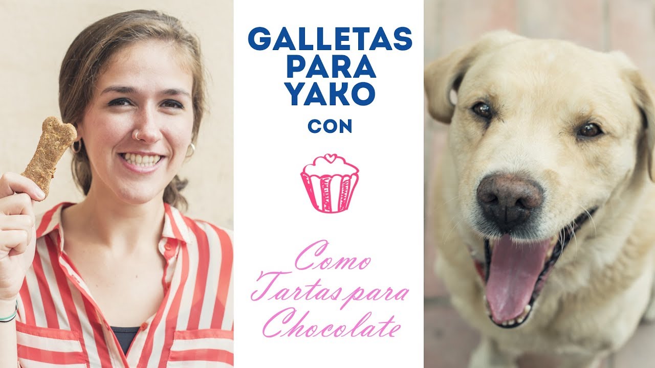 Receta muy fácil de galletas para perros con Como Tartas Para Chocolate. ¿Le gustarán a Yako?
