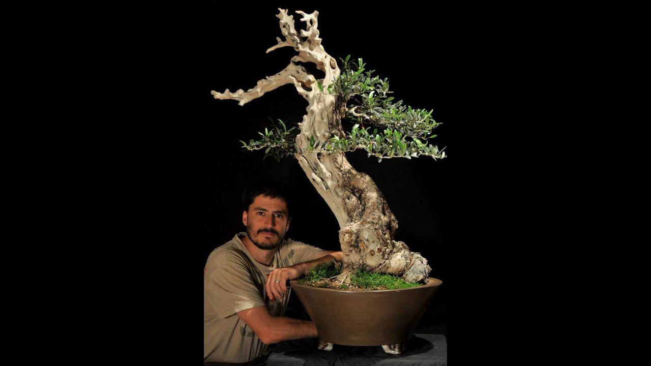 VIVEIRO E MUSEU DE BONSAI DO ARTISTA ANDRES BICOCCA - ARGENTINA - ABC DO BONSAI NA ESTRADA