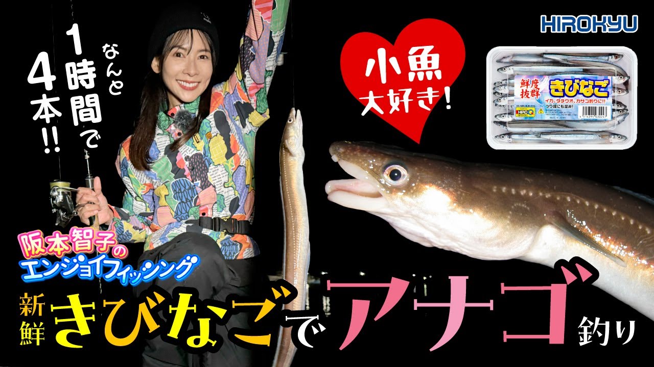 【１時間で終わる釣り】夜のアナゴ釣りに「きびなご」は必須です！