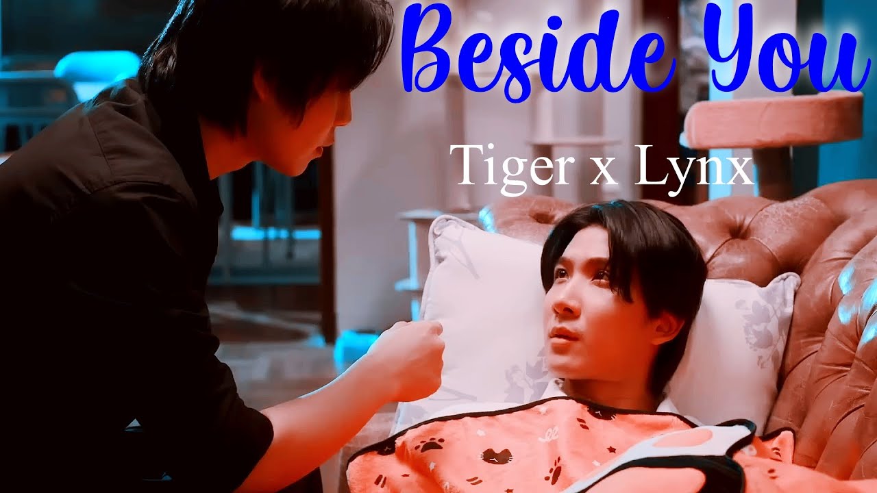Cat For Cash - Beside You (Tiger x Lynx) Ep 1