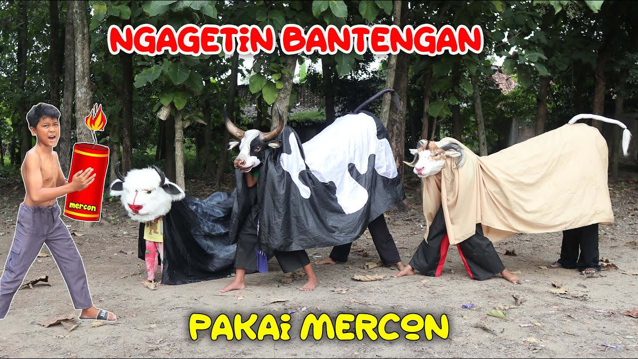 NGAGETIN BANTENGAN PAKAI M3RCON SAMPI BANGUN DI AJAK MBEROT