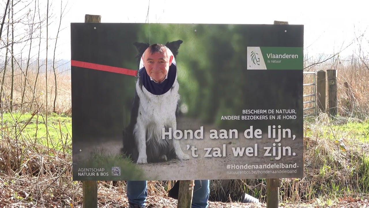 Wandeling 'Rode Driehoek' in de Wijers in Zonhoven